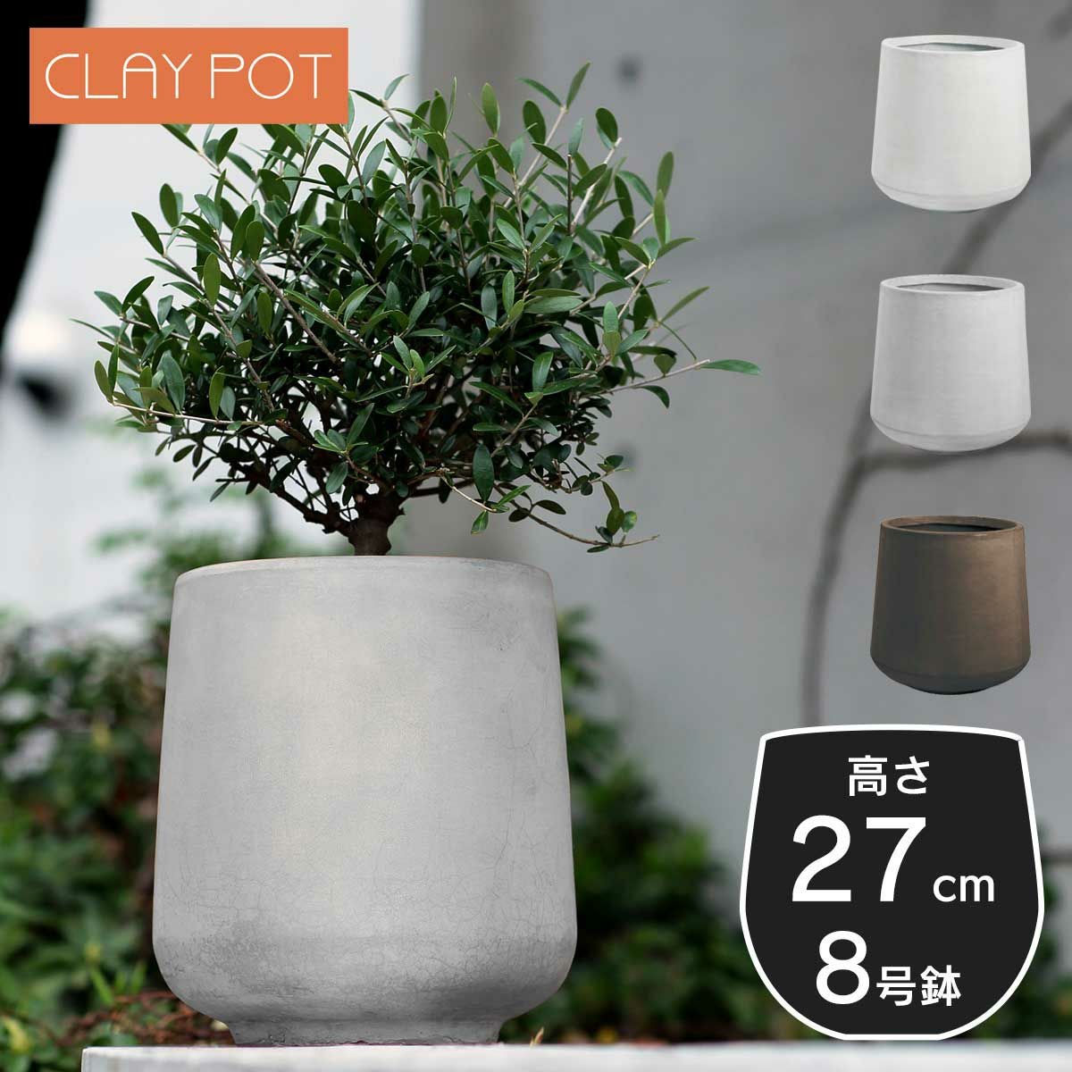 000000000904-01.jpg?size=m&w=