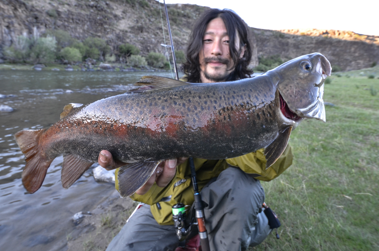 Glissando 66 グリッサンド66「冒険用品」