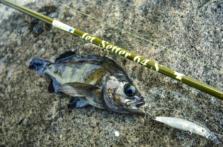 Jet Setter 64S [A magic wand like willow]「冒険用品」