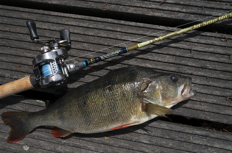 JetSetter 60CT to go exploring「冒険用品」