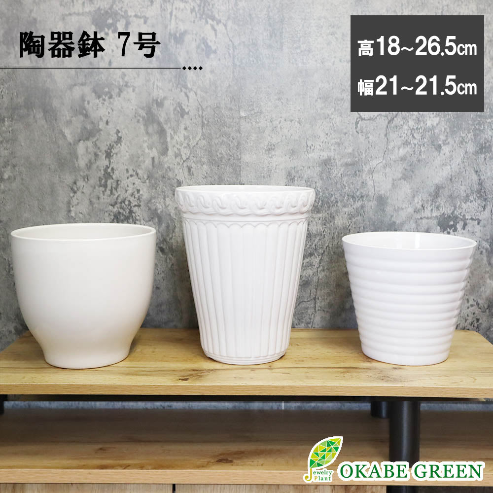 宝石のような観葉植物のお店 【Jewelry Plant】 鉢 植木鉢 陶器鉢 7号