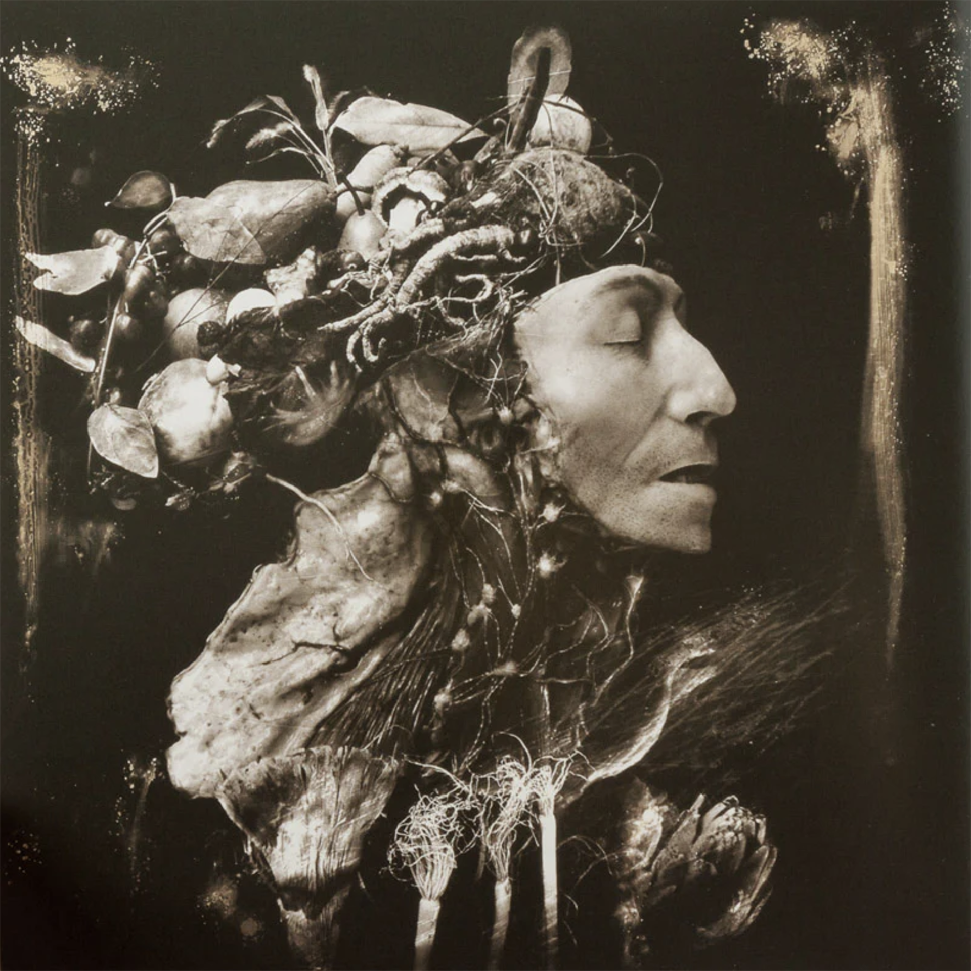Joel-Peter Witkin | The Bone House — OFFICIAL | Joel-Peter Witkin