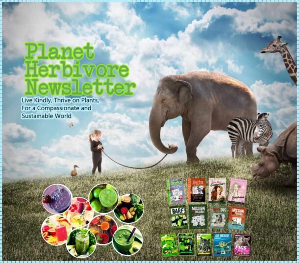 Elephants and Their Secrets: 28 Fascinating Facts about Elephants