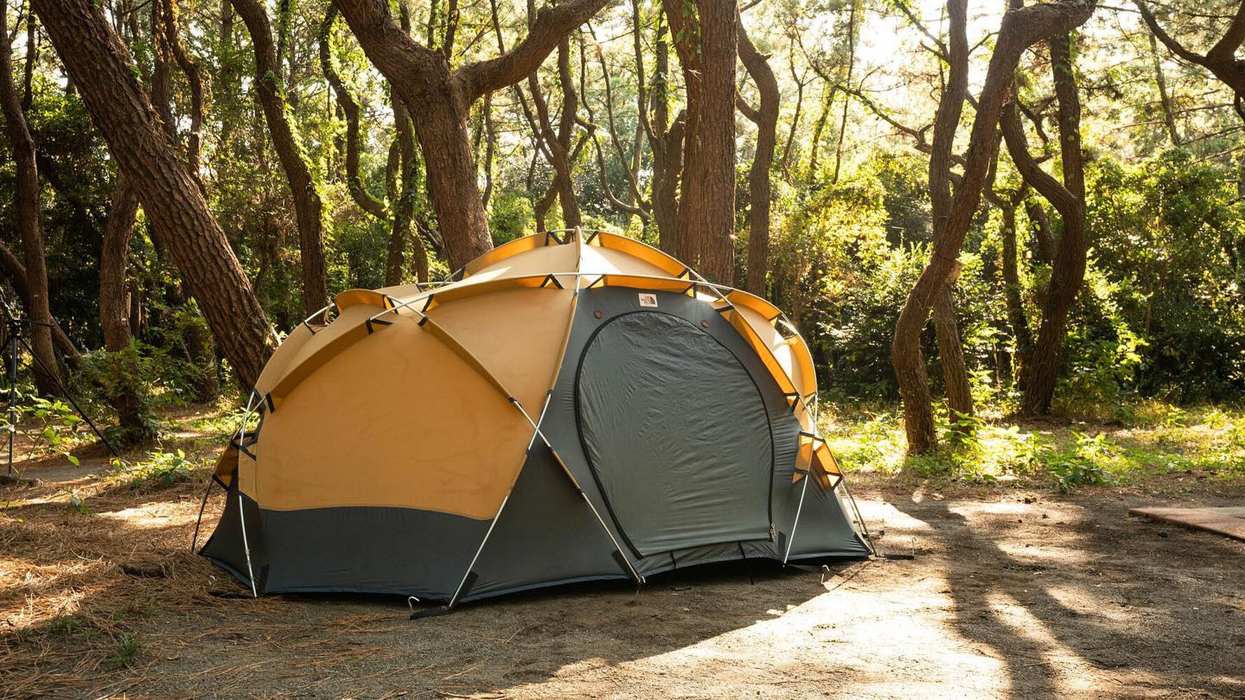 ビンテージテントThe north face / Pole | Blog | あなただけの