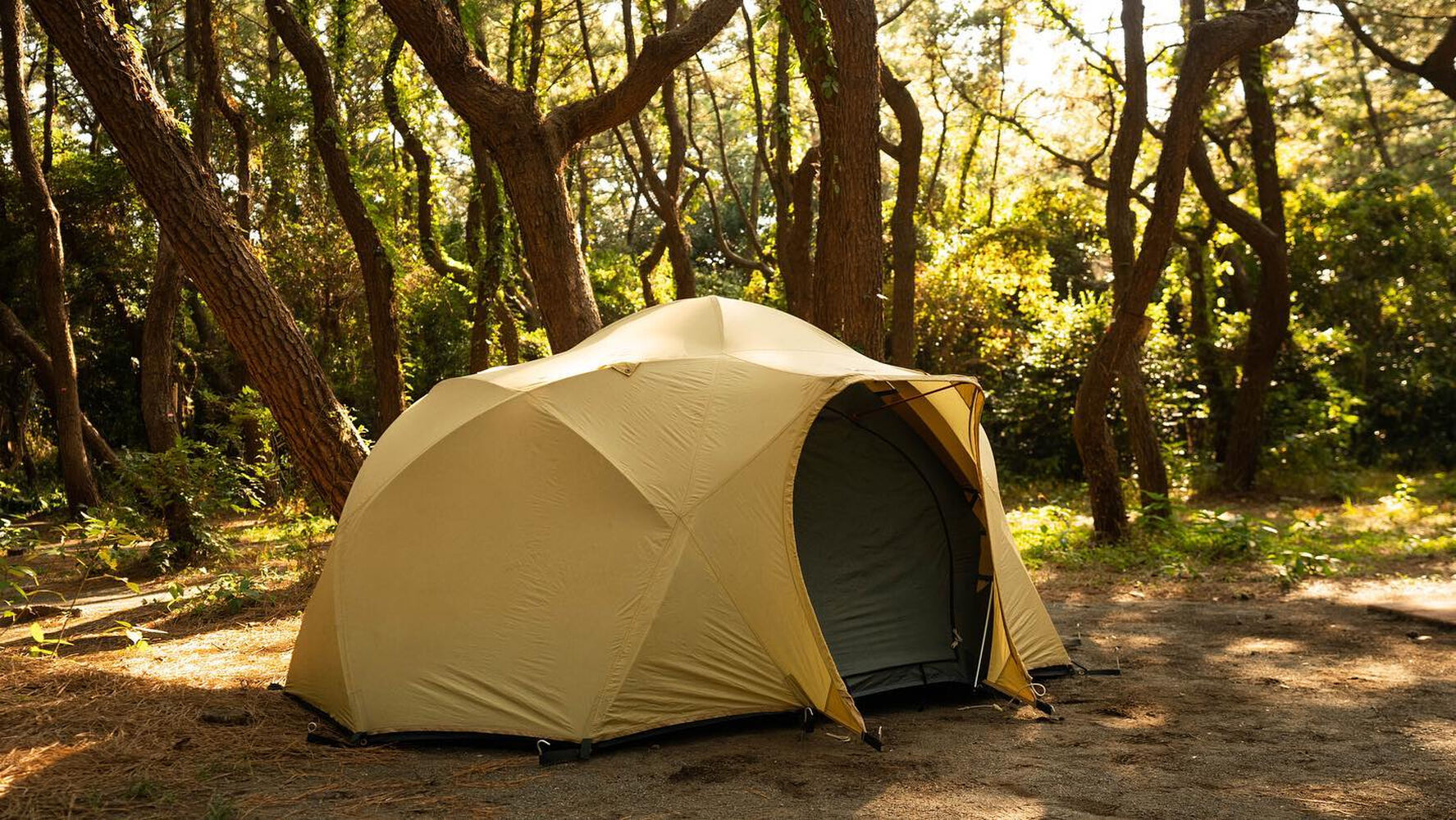 ビンテージテントThe north face / Pole | Blog | あなただけの