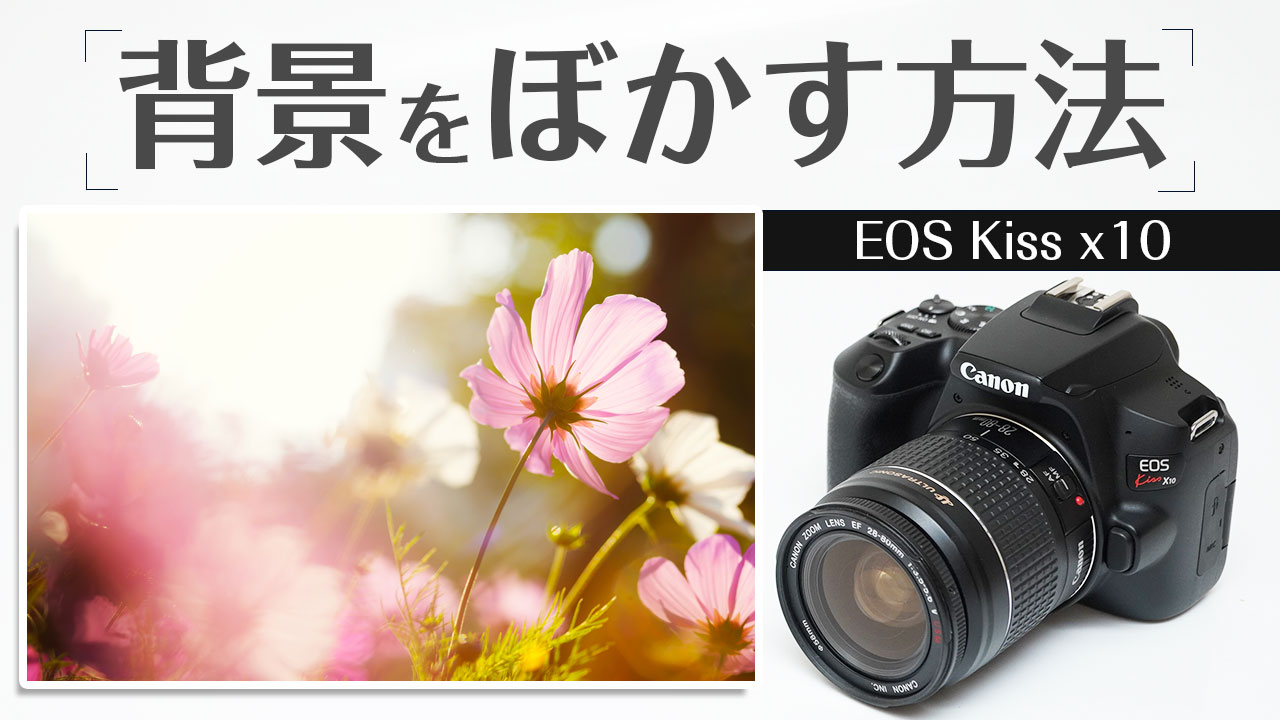 Canon Kiss x10 写真や動画で背景を簡単にぼかす方法 - レビューから
