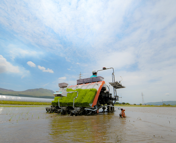 クボタ ソリューションレポート No.33】規模拡大に対応！苗箱の使用を