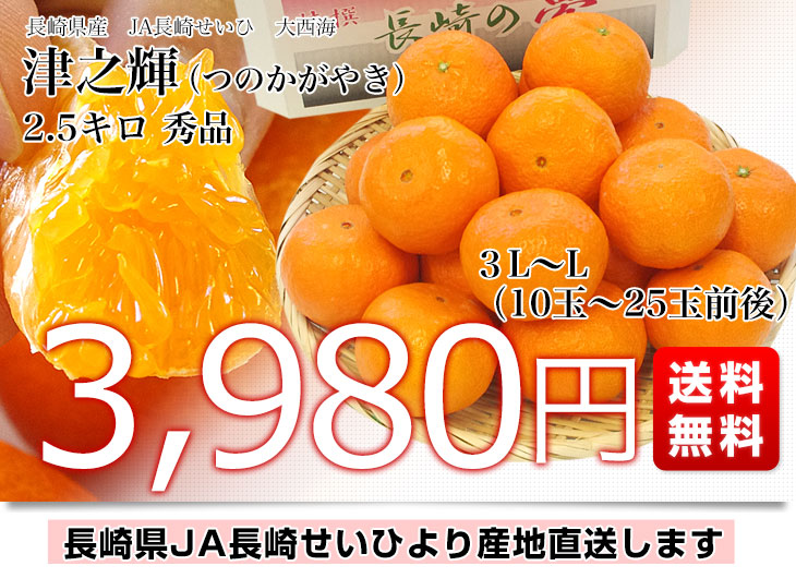 長崎県より産地直送 JA長崎せいひ 津之輝(つのかがやき) 3LからLサイズ