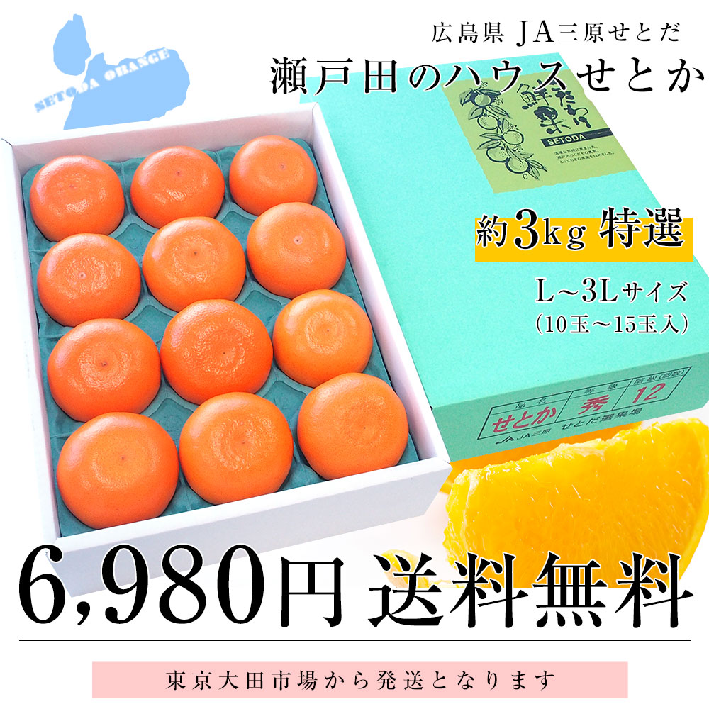 広島県産 JA三原せとだ「せとか」 3キロ 特選 Lから3Lサイズ（10玉から