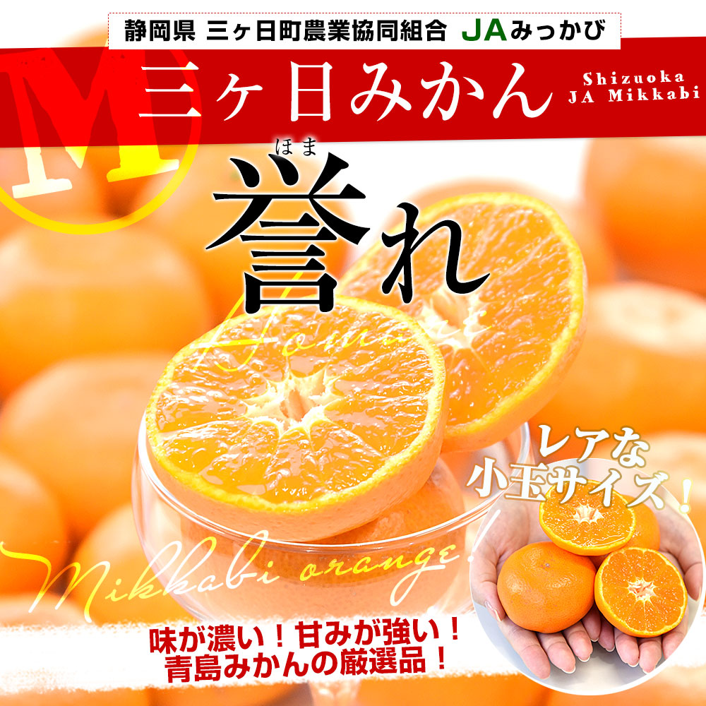 静岡県 JAみっかび 三ヶ日みかん 青島誉れ 希少な小玉 MからSサイズ