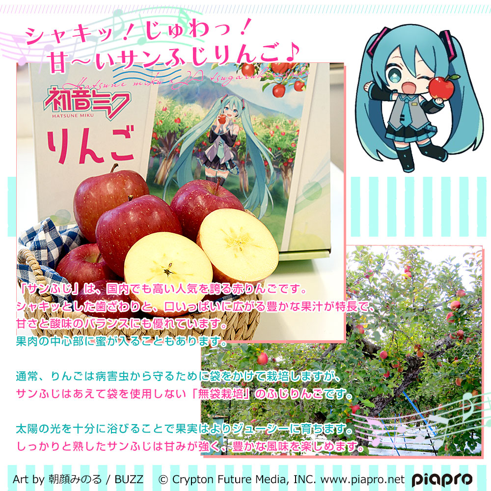 青森県より産地直送 JAつがる弘前 サンふじ 最上級品 初音ミクコラボ