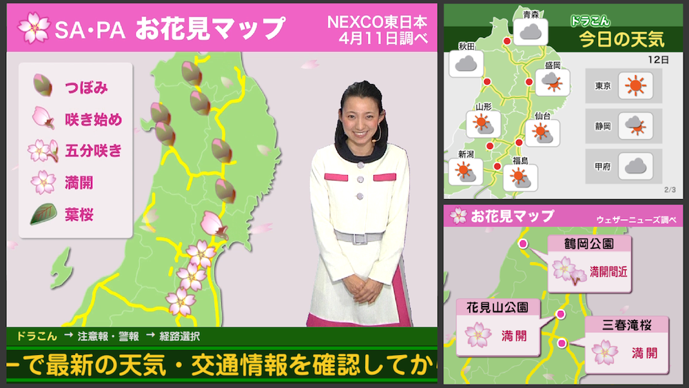 ドライビングウェザー』で東北の桜の名所SA/PAの開花状況をお伝え