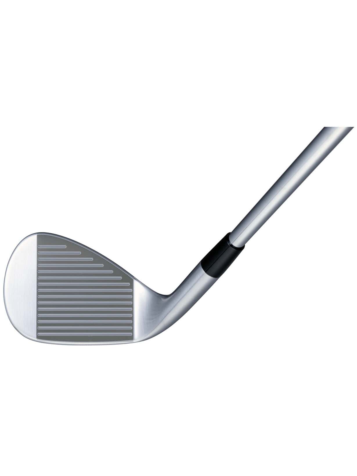 2024年モデル】 BITING SPIN WEDGE [N.S.PRO MODUS3 TOUR105