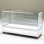 EXCEED 平ケース(下部固定・鍵付き) ハヤノ産業 ショーケース 【通販