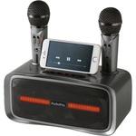 ST-2028 ワイヤレスマイクスピーカー マイク2本付き 1台 とうしょう