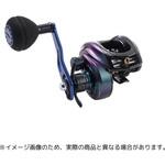 右) SALTY STAGE JIGGING AbuGarcia(アブガルシア) 自重254g - 【通販