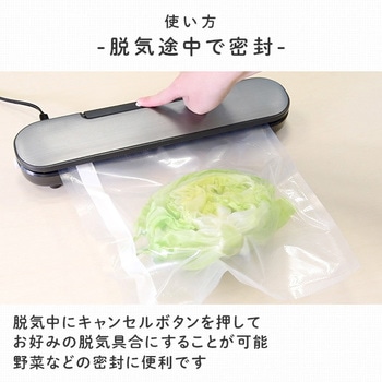 YVE-095(H) 真空パック機 1個 YAMAZEN(山善) 【通販モノタロウ】