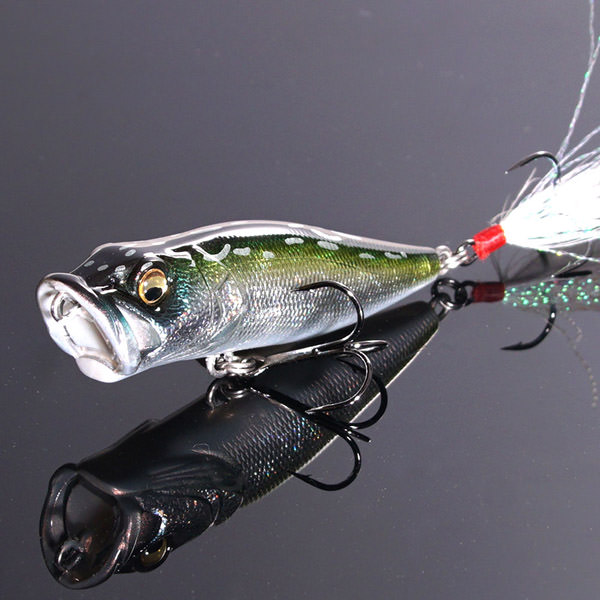 リスペクトカラー第8弾GGサンフィッシュ 期間限定完全受注生産