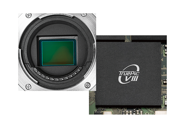 MonoMax × OLYMPUS 持ち運びに便利な小型・軽量ミラーレス一眼 OM-D E