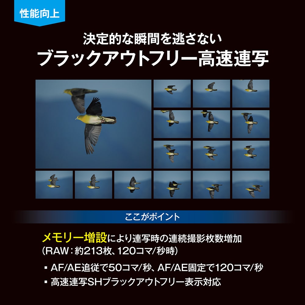 OM-1 Mark II ボディー(OM-1 Mark II ボディー): デジタル一眼 | OM