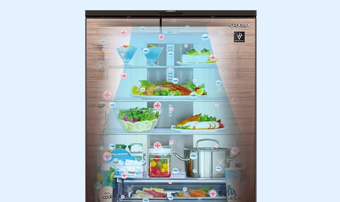 冷蔵室 | SJ-GK50J | 冷蔵庫：シャープ