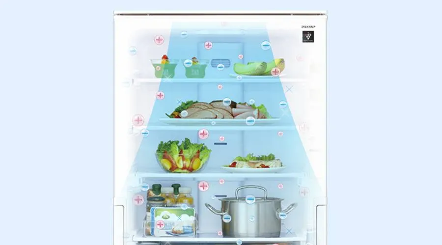 冷蔵室 | SJ-XW41P | 冷蔵庫：シャープ