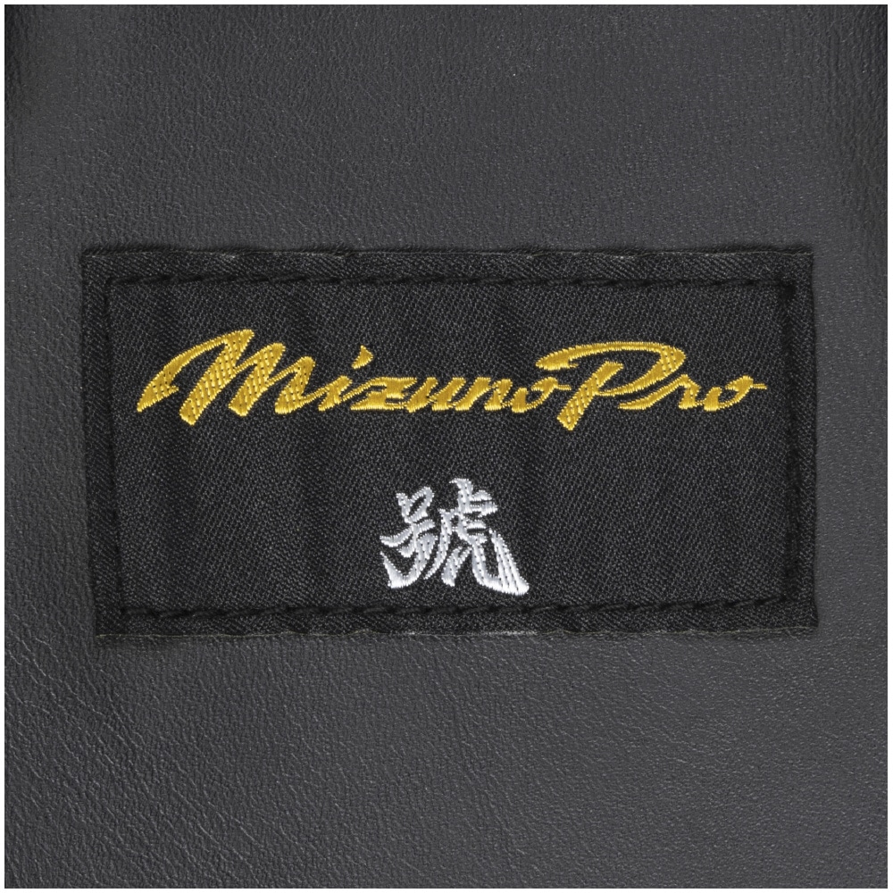 ミズノプロ】號SAKEBI 硬式用レガーズ(高校野球ルール対応モデル