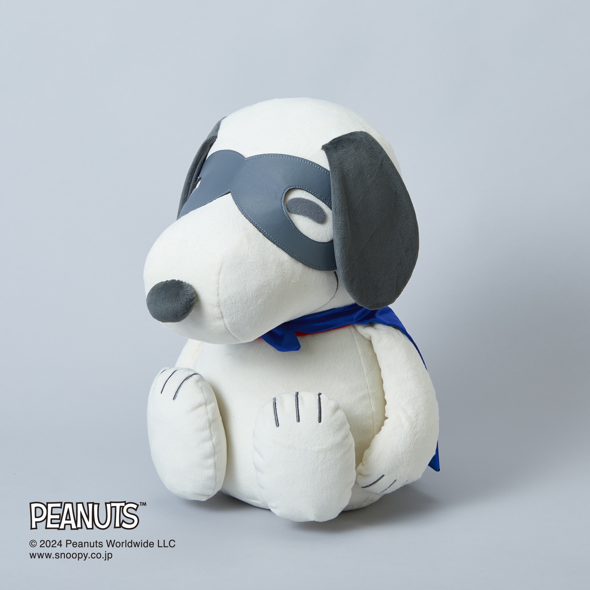 PEANUTS】スヌーピーメディシンボール ウェアグラースィズ|C3JHIB06