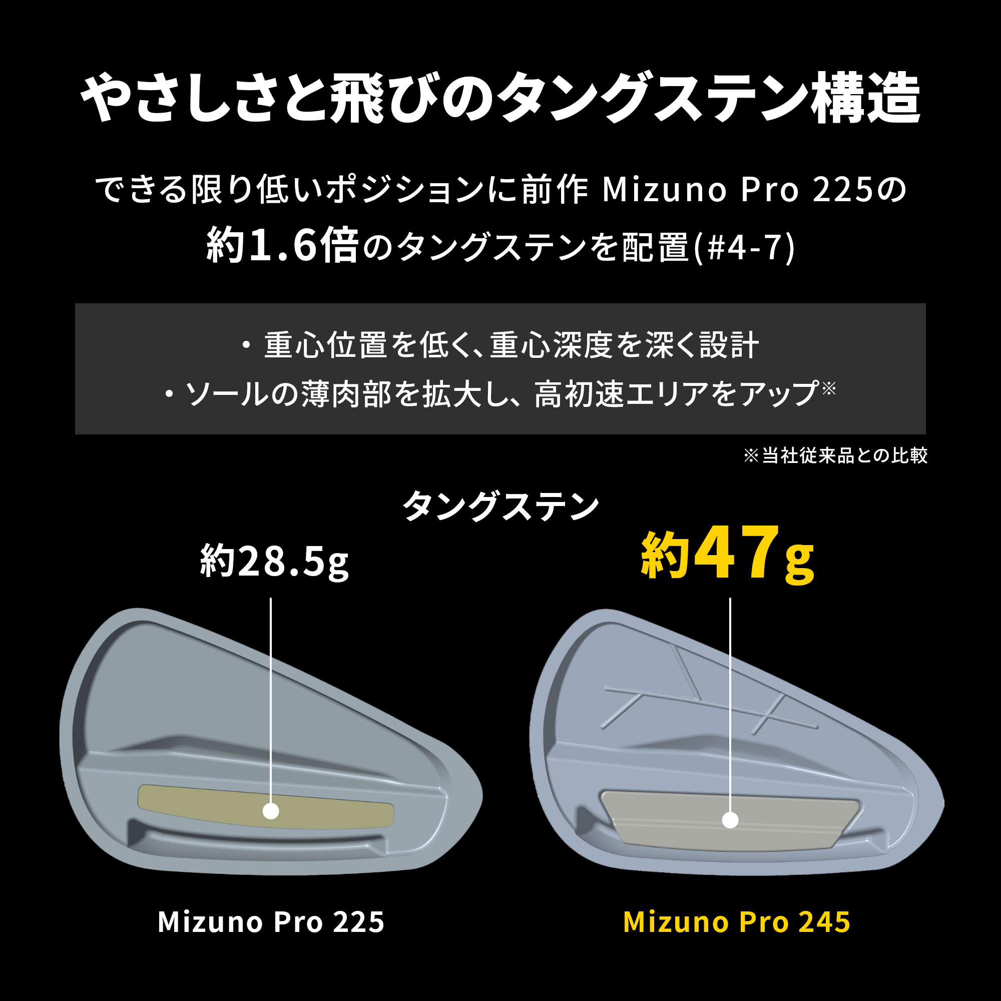 Mizuno Pro 245 アイアン 6本組(No.5～9、PW)(Dynamic Gold 95