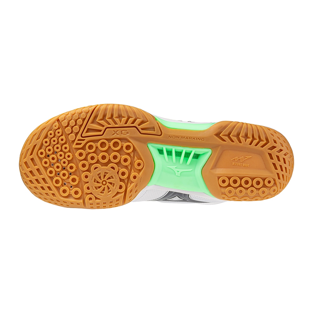 ウエーブファングPRO(バドミントン)|71GA2100|シューズ|バドミントン