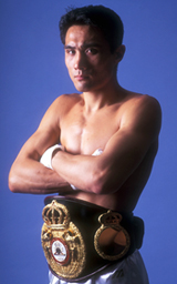 日本ボクシング 不滅の激闘史 4DVD 具志堅用高 畑山隆則 竹原慎二 鬼塚勝也 日本ボクシング不滅の激闘史 | TCエンタテインメント株式会社