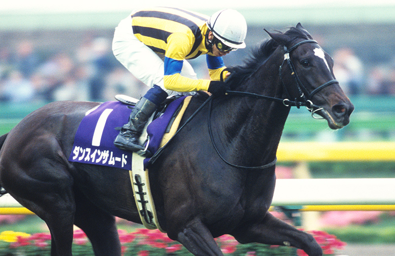 ダンスインザムード｜名馬メモリアル｜競馬情報ならJRA-VAN