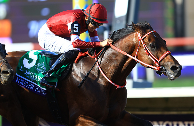 フォーエバーヤング｜名馬メモリアル｜競馬情報ならJRA-VAN