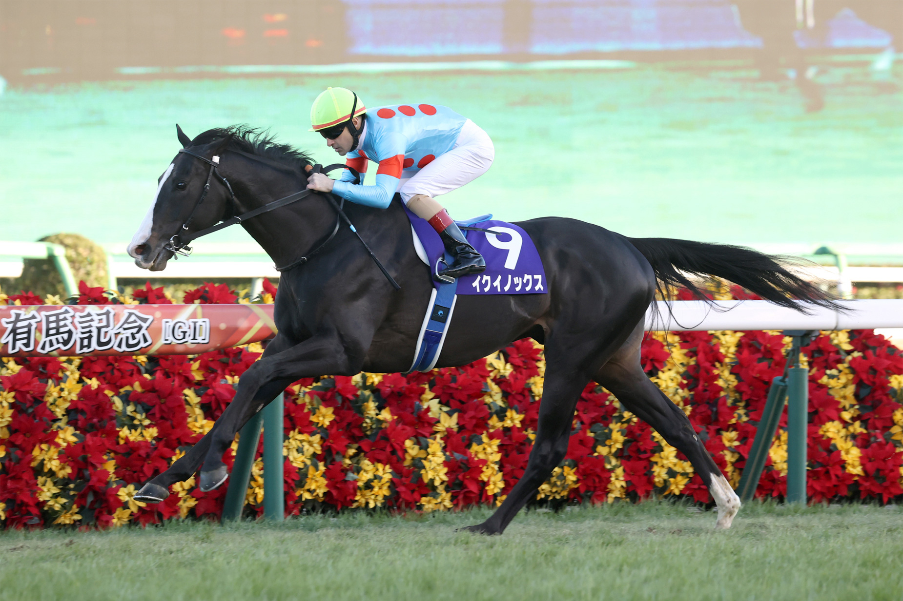 イクイノックス JRA