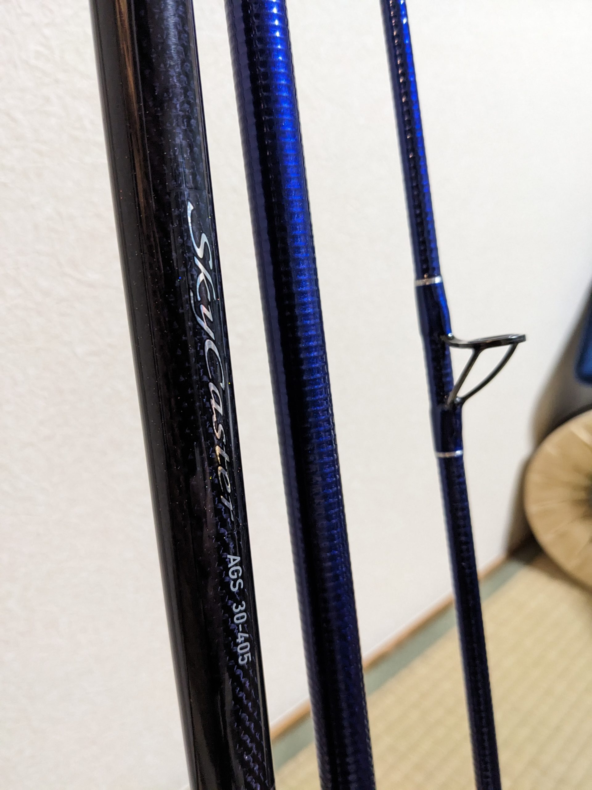 新しい竿を買って釣りに行った。スカイキャスター AGS 30-405 - じゅん