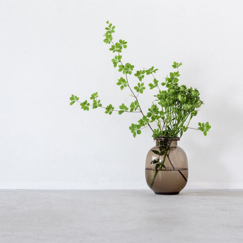 MG_9890_500x.jpg?v=1608629113