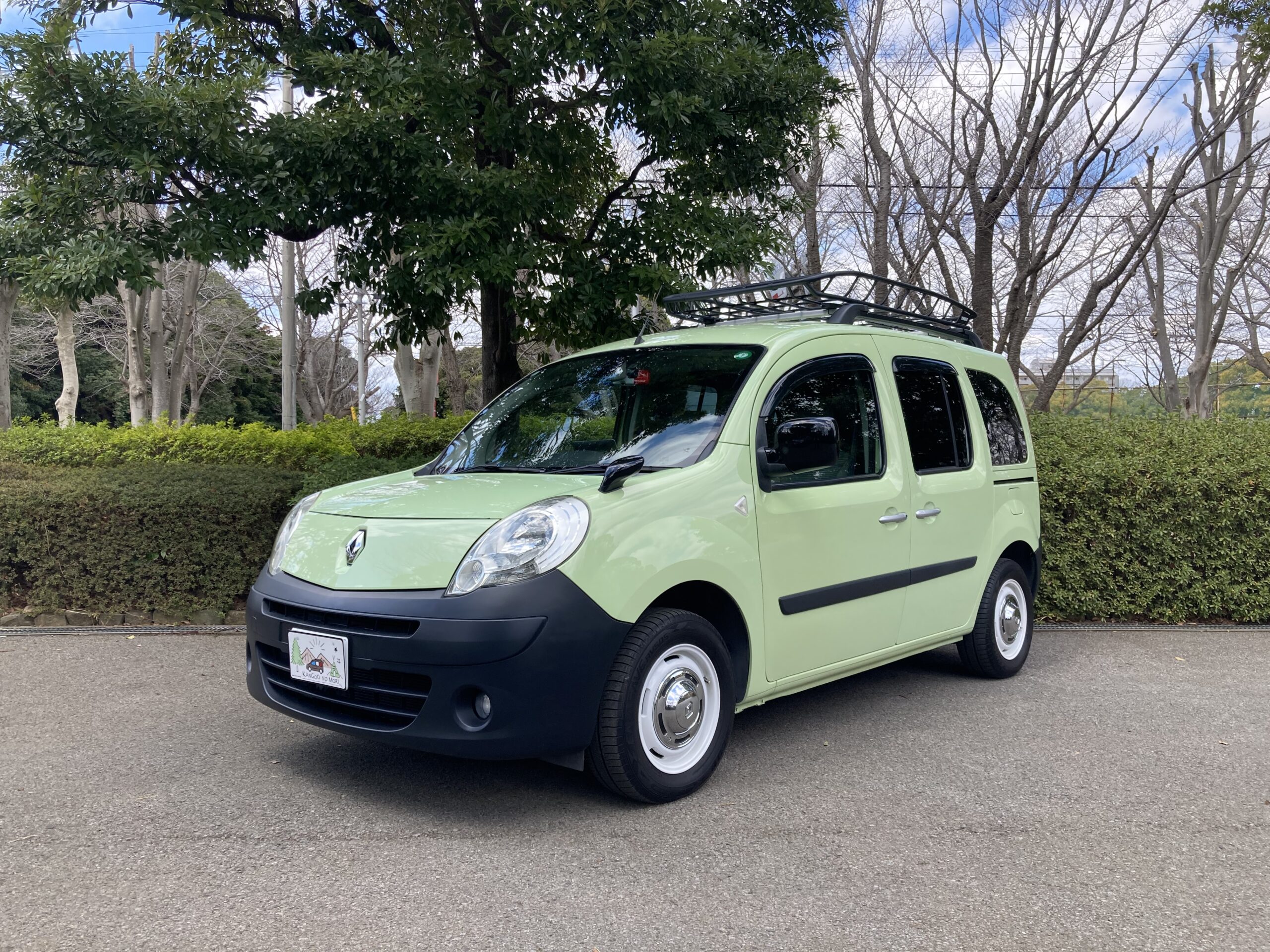 ImportedPhoto.764135440.641451