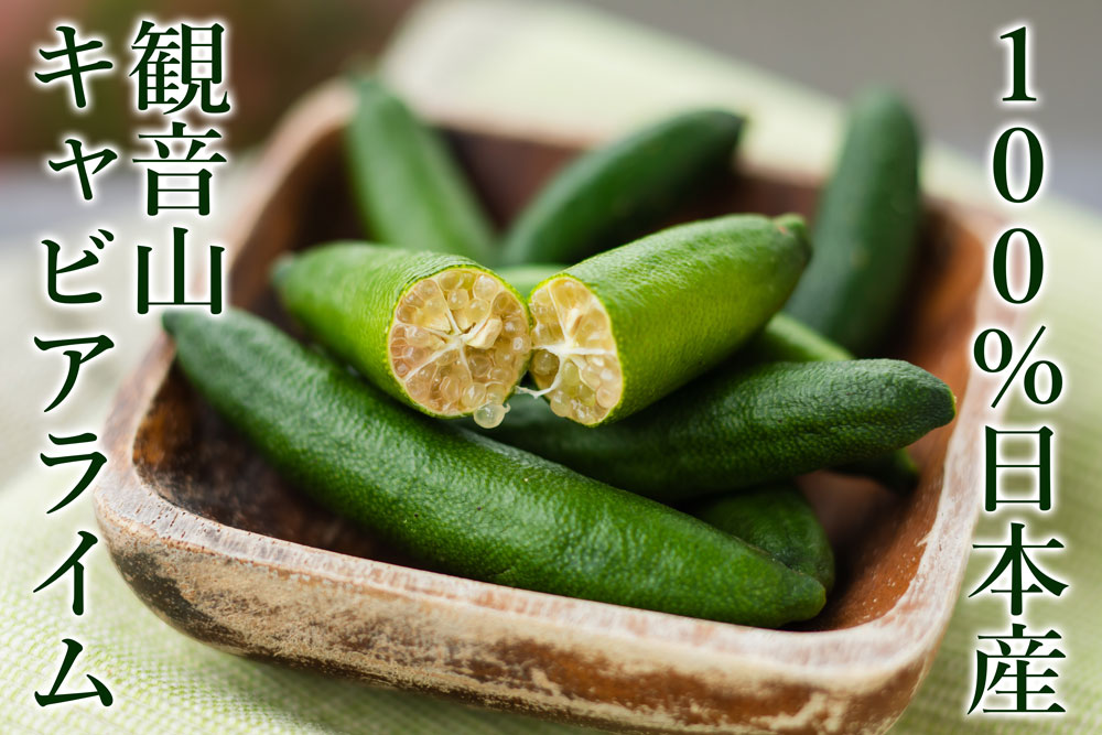 フィンガーライム 国産フィンガーライム 和歌山 観音山フルーツ