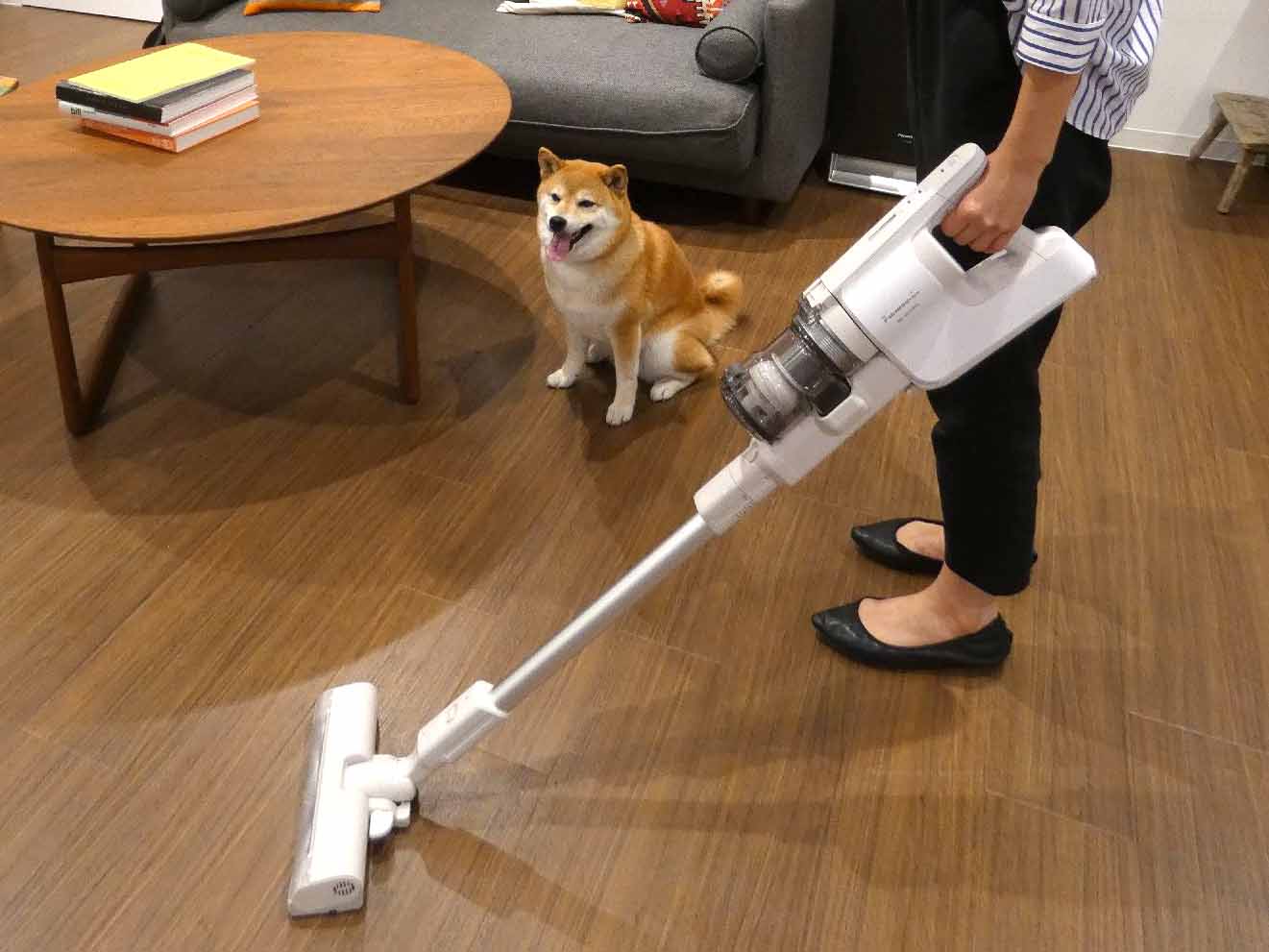 パナソニック、髪もペットの毛も「からまないブラシ」搭載のスティック