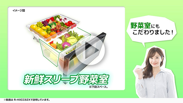 特長：まんなか野菜 ： 冷蔵庫 ： 日立の家電品