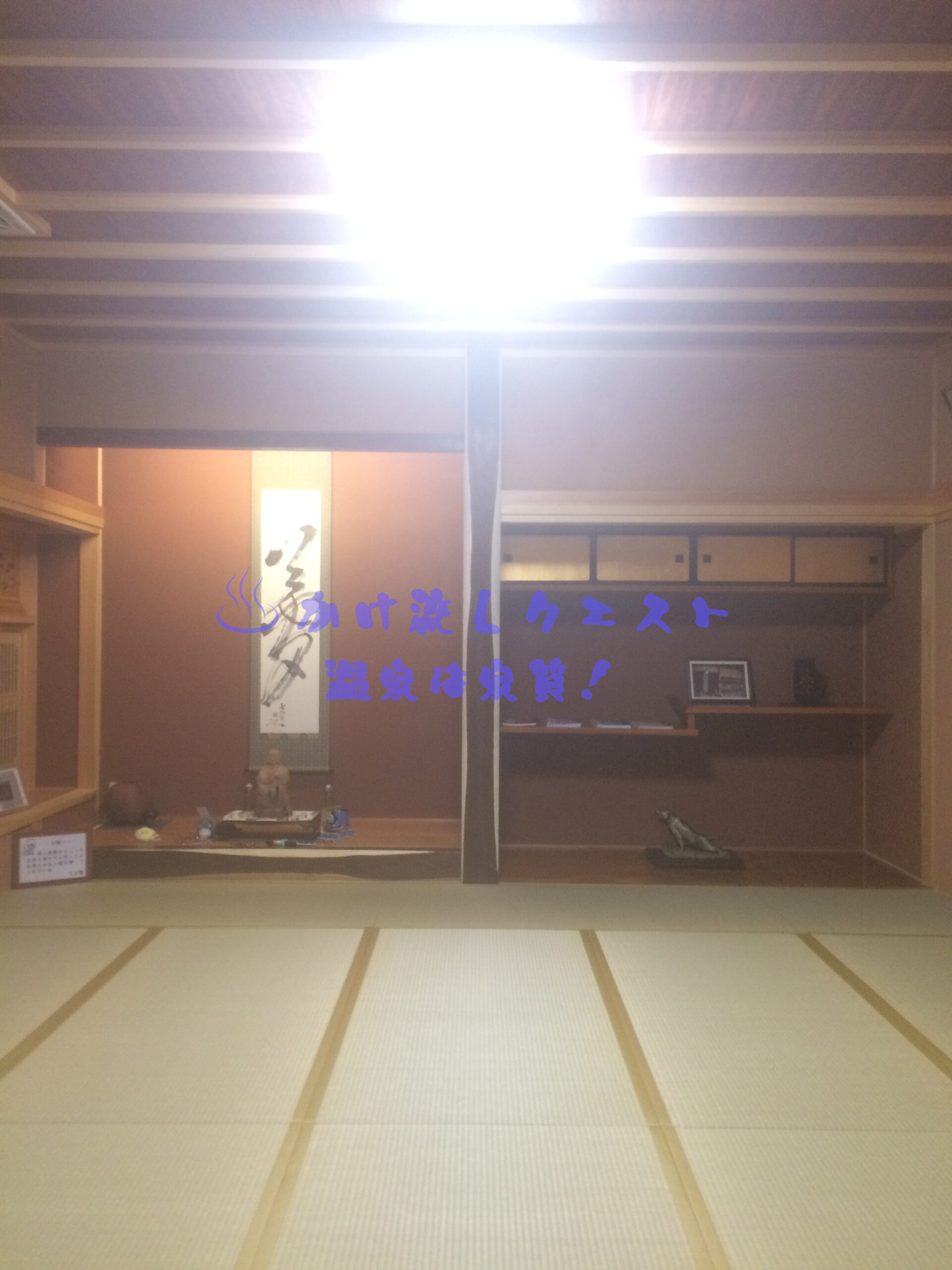 岩手の緑風荘にて幸運を招く座敷わらしに遭遇した驚愕体験！ | かけ