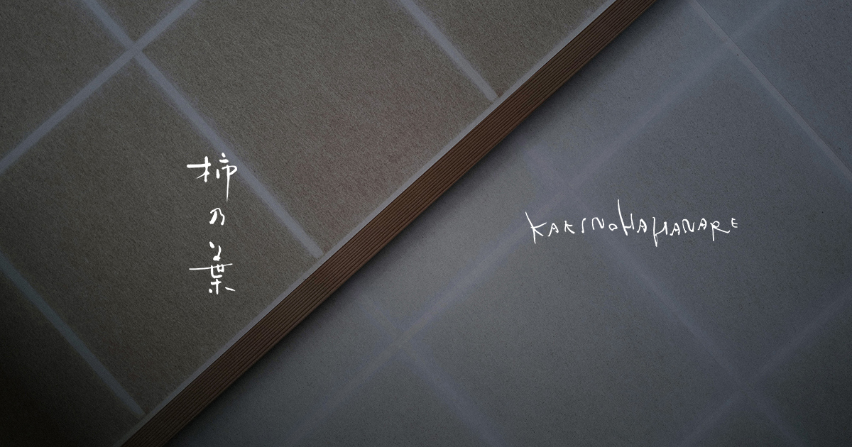 白漆丸厚皿 Φ240 - 商品帖 | 柿乃葉 / KAKINOHAHANARE