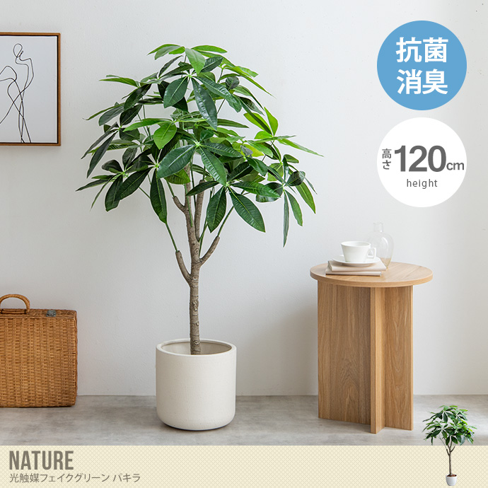 送料無料】Nature ナチュレ 高さ120cm 観葉植物 パキラ フェイク