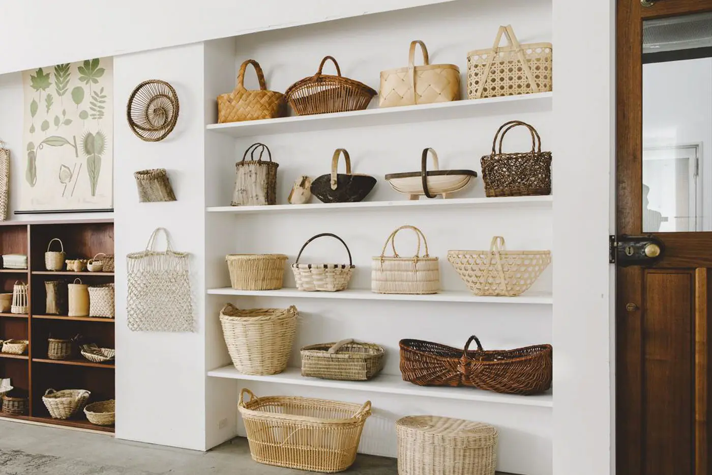 世界のかご カゴアミドリ