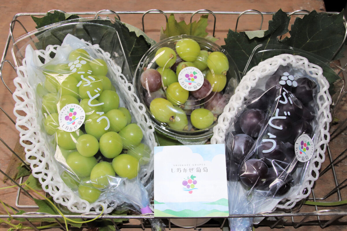 セノッピー 30粒 2袋 ぶどう味 セノッピー 2袋 30日分 ぶどう味 セノッピー