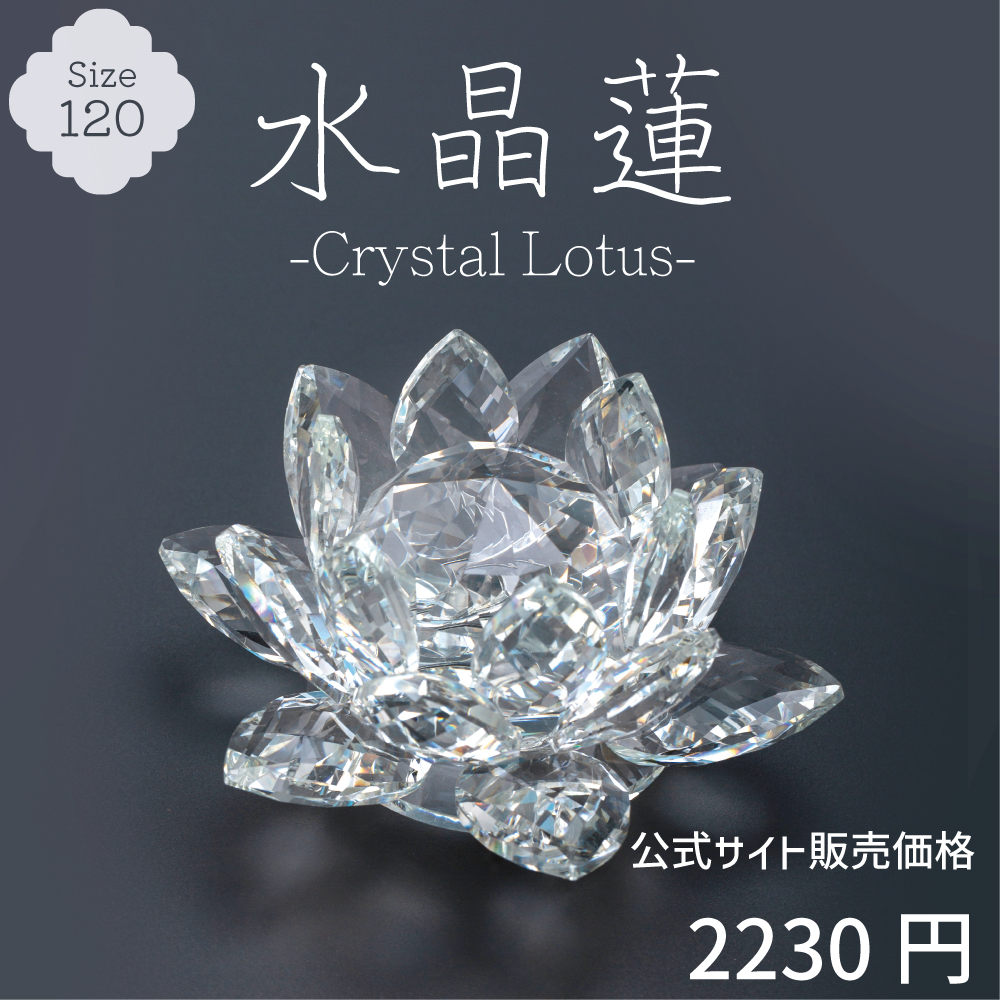 水晶蓮 -crystal lotus- 120サイズ - 【公式】カイドク館