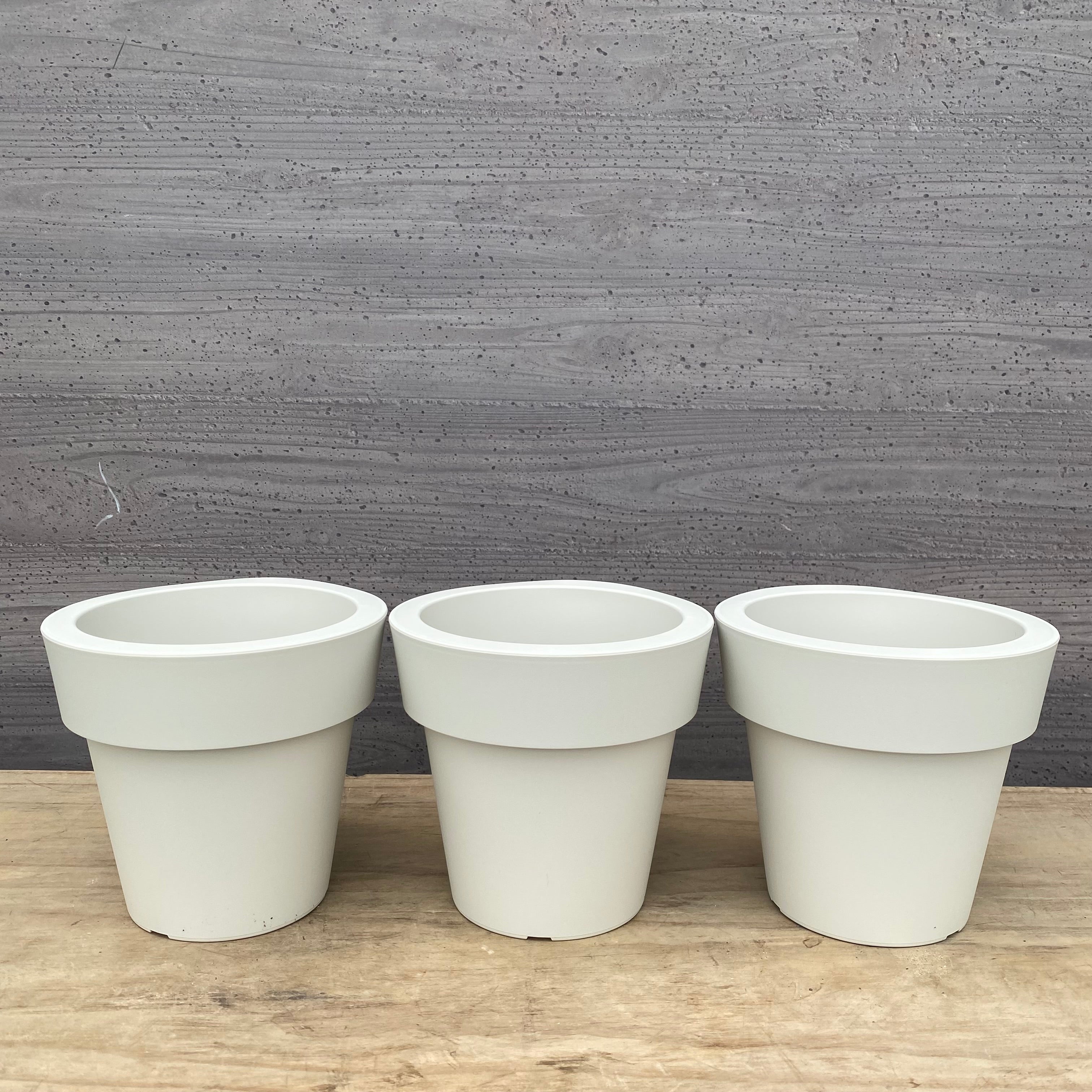 商品 – 植物家族