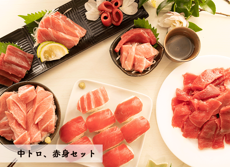 カスガ【中トロ 赤身セット】 | カスガ水産【公式】| 大分県津久見市保