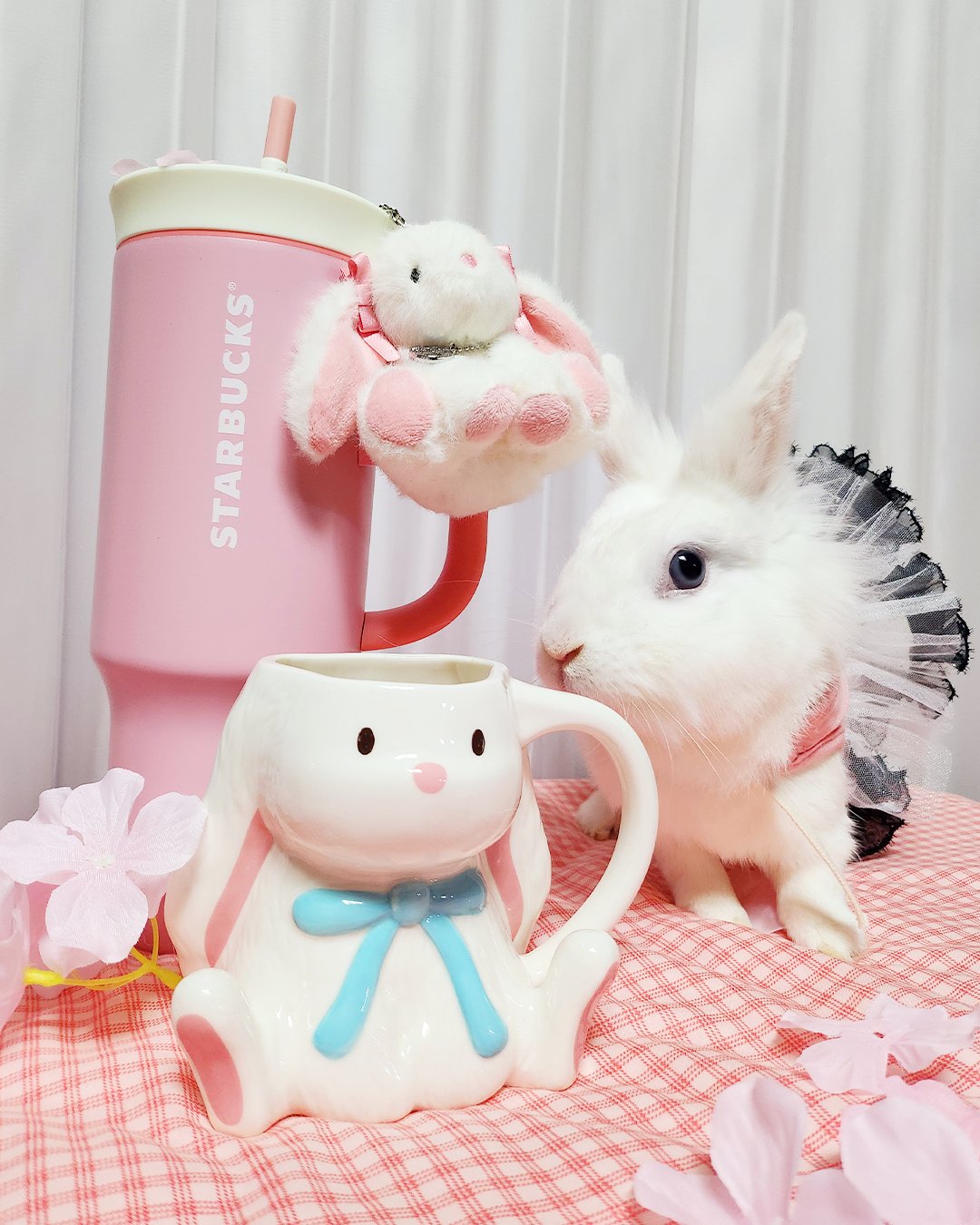 2025年2月】韓国スタバのバレンタイングッズや新作メニューをご紹介