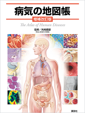 新版からだの地図帳｜The Atlas of the Human Body｜講談社